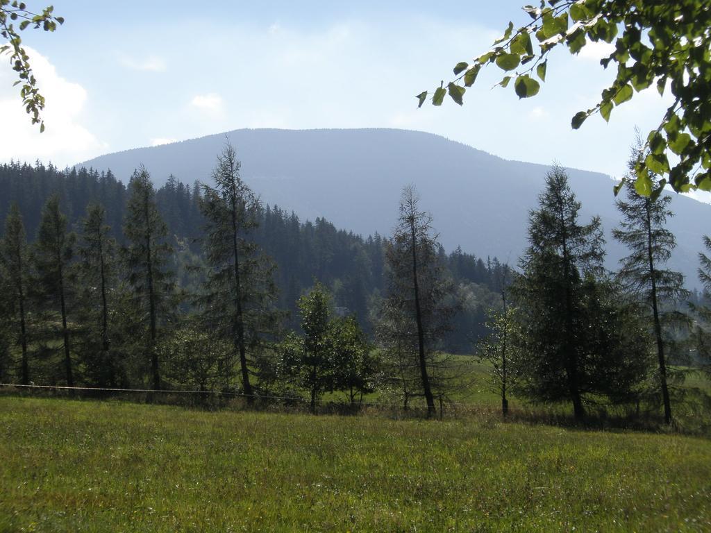 Ubytovani U Pradku Čeladná 外观 照片